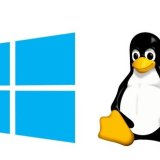 Microsoft integra Linux in Windows per potenziare l’IA con WSL Container