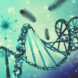 OpenAI e Anthropic avvertono: il rischio di armi biologiche create con AI