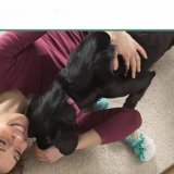 iRobot entra in procedura fallimentare, sarà acquisita da Picea