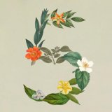 Claude Sonnet 5 di Anthropic: la nuova frontiera degli agenti AI